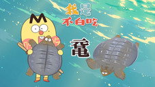 Épisode 705