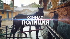 Épisode 9