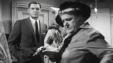 Épisode 22