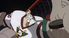 Canards de poche