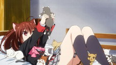 Épisode 11