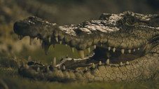 ÉPISODE SIX