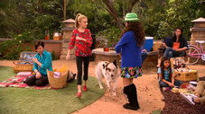 Épisode 22