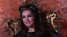 That Darn Catwoman