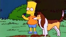 Motim Canino