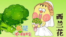 Épisode 153