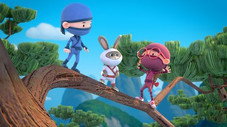 Le ninja aux grandes oreilles