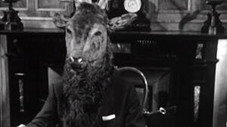 La Chasse au cerf