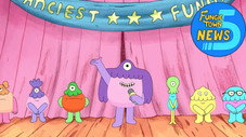 Le concours du plus spécial des Fungies