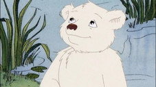 Petit-Ours Polaire