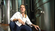 Champagne : les sorciers se font mousser