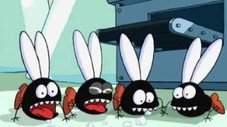 Bille de clone