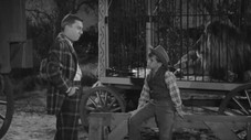 Épisode 14