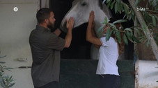 Épisode 15