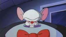 Une souris et un homme