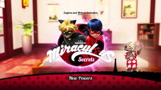 Miraculous Secrets: New Powers