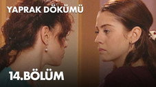 Épisode 14