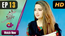Épisode 13