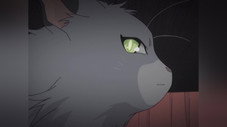 Épisode 9