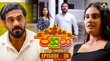 Épisode 30