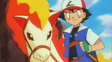 Le poké-marathon