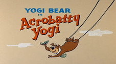 Acrobatty Yogi