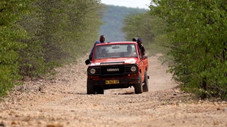 Brésil, Namibie, Inde, Dame Nature ne pardonne pas