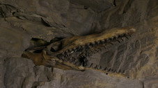Le monstre du Loch Ness