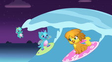 Surfe et brille