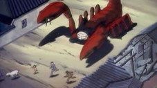 Le scorpion chinois