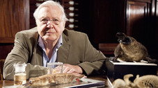 Le crapaud et l'ornithorynque