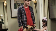A Big Bag of Dog