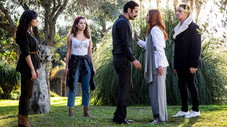 Épisode 5
