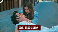 Épisode 36
