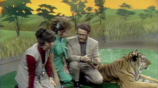 Épisode 8