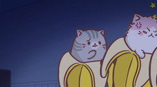Bananya en pleine nuit-nya