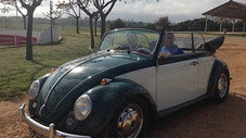 Volkswagen - Coccinelle