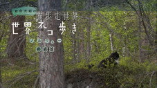 Épisode 21