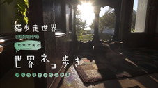 Épisode 54