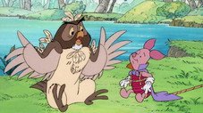 Les plumes de Maître Hibou
