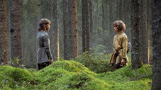 Mener les brigands