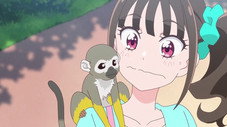 Le chouchou du zoo