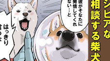 Épisode 34