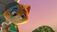 Cosmo, le chat astronaute