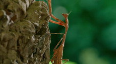 Épisode 5