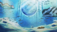 Paradis des sirènes ! Enfin l'île des hommes-poissons !