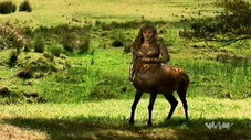 La biche sacrée
