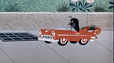 Taupek et la voiture