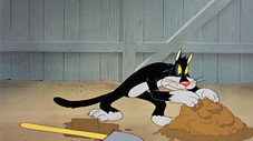 Épisode 7