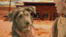 Épisode 8